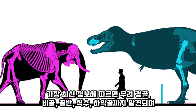2024-03-29 10 45 23.png 세상에서 가장 강한 육식공룡 Top4