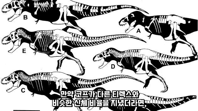 2024-03-29 10 45 34.png 세상에서 가장 강한 육식공룡 Top4