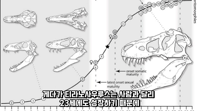 2024-03-29 10 42 35.png 세상에서 가장 강한 육식공룡 Top4