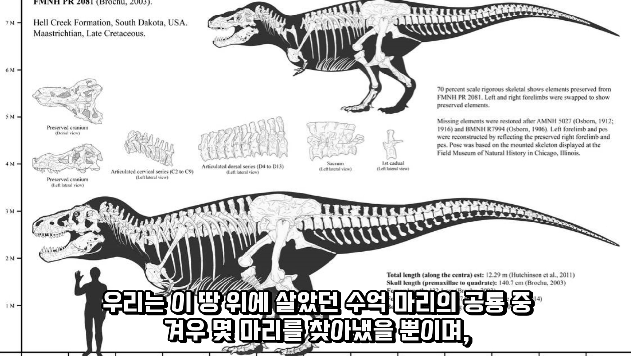 2024-03-29 10 46 16.png 세상에서 가장 강한 육식공룡 Top4