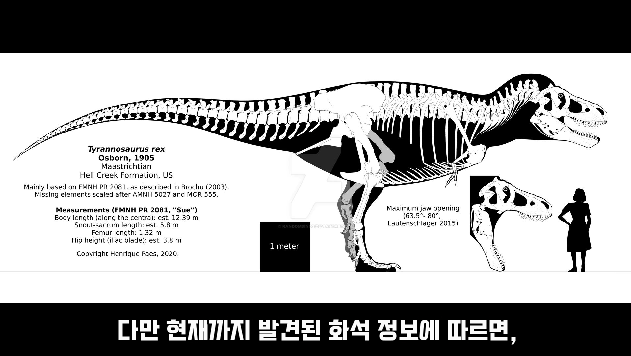2024-03-29 10 46 29.png 세상에서 가장 강한 육식공룡 Top4