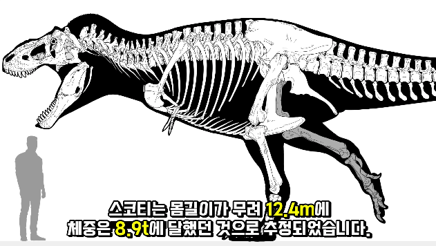 2024-03-29 10 42 27.png 세상에서 가장 강한 육식공룡 Top4