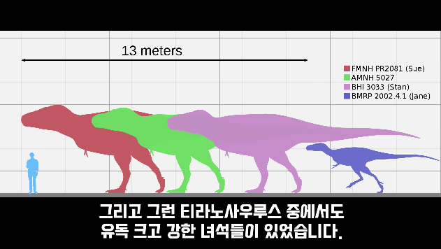 2024-03-29 10 41 18.png 세상에서 가장 강한 육식공룡 Top4