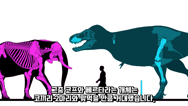 2024-03-29 10 46 35.png 세상에서 가장 강한 육식공룡 Top4