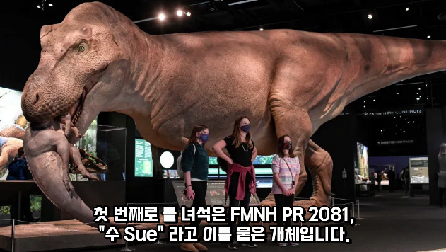 2024-03-29 10 41 29.png 세상에서 가장 강한 육식공룡 Top4