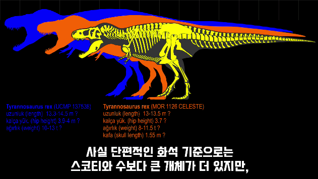 2024-03-29 10 46 46.png 세상에서 가장 강한 육식공룡 Top4