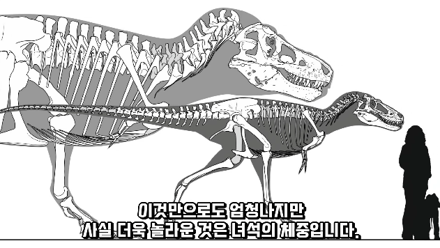 2024-03-29 10 41 49.png 세상에서 가장 강한 육식공룡 Top4