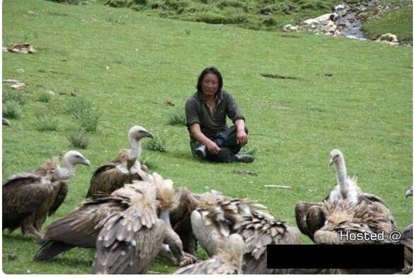 4.JPG 티벳에 장례 문화 풍장 (약혐)