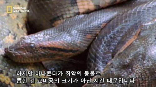 전설적인 색욕의 동물