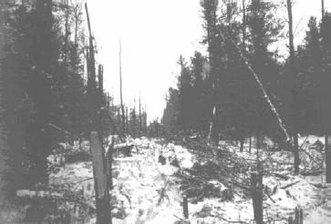 Air_Ontario_Flight_1363_crashsite.jpg