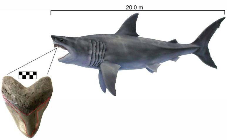 449815ab5a9a425ee4d59981ebb9763e.png.jpg
