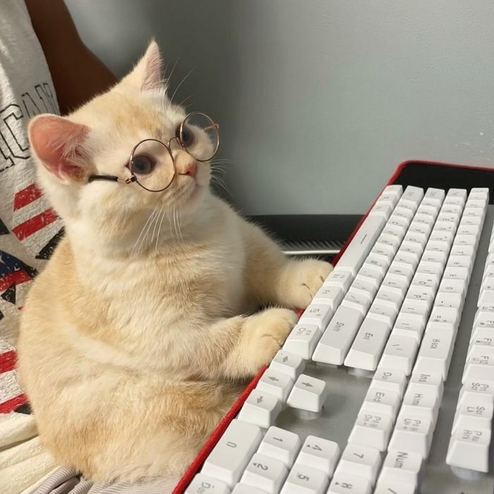 image.png 한때 방문객의 90%가 한국인였던 스웨덴의 웹사이트