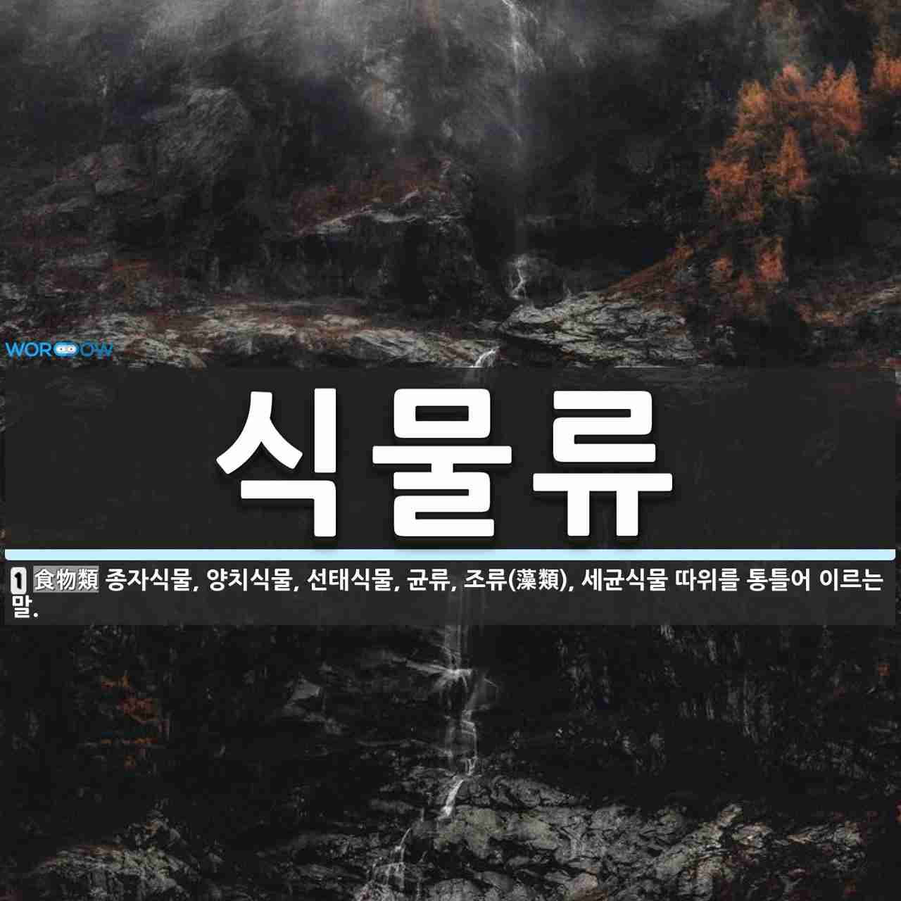 식물류_11.jpg