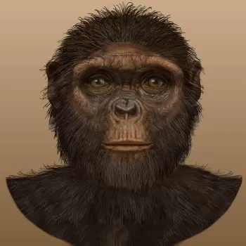 ramidus_illustration_KC_p.jpg.png