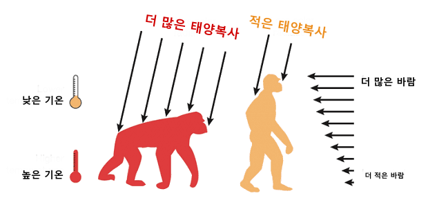 1713934221번역222.png