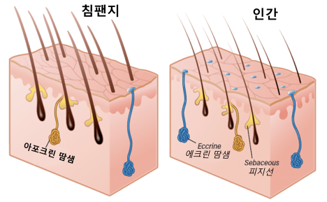 Group-1-Mitch1번역.png