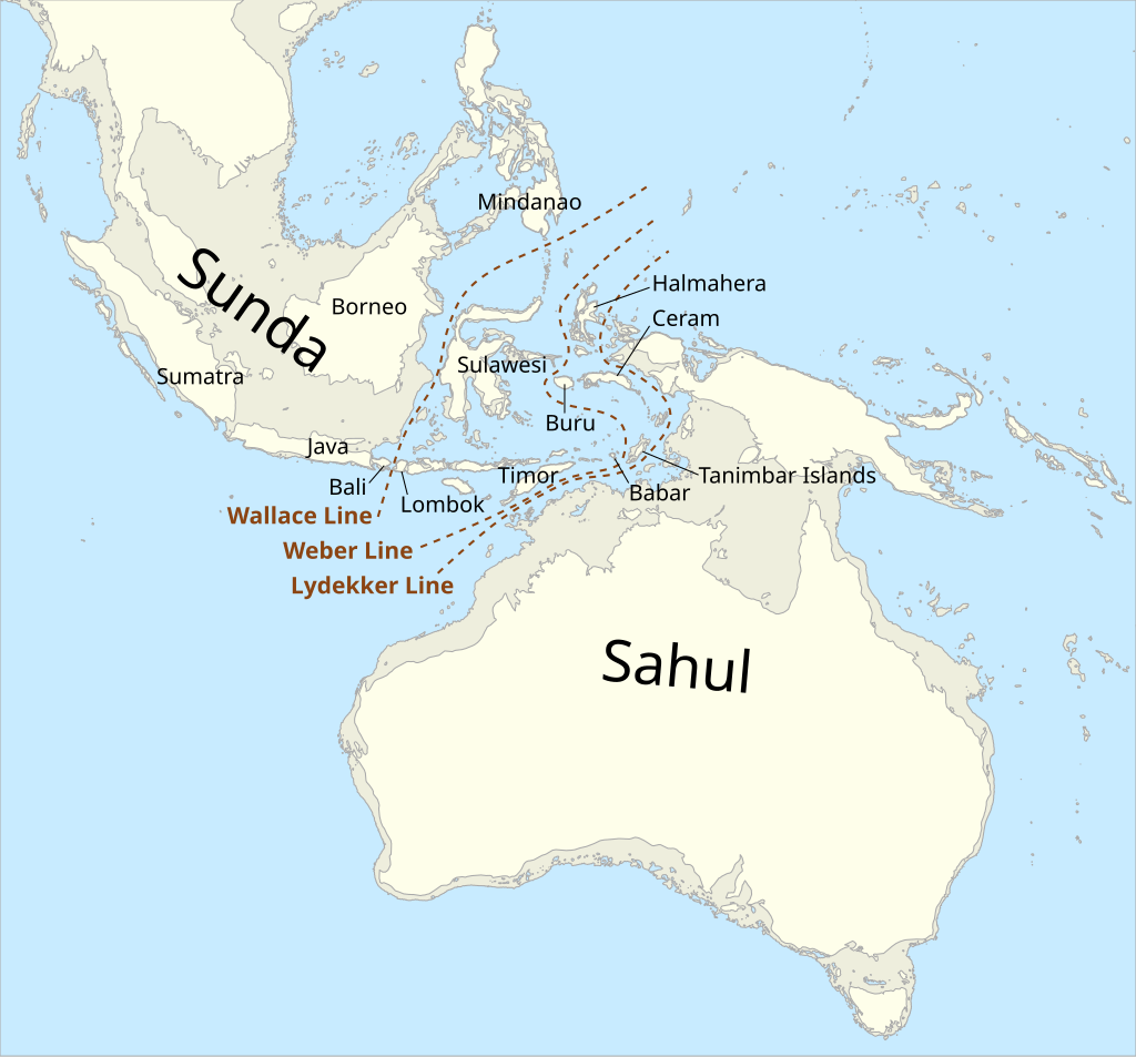 Map_of_Sunda_and_Sahul.svg.png
