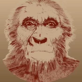 common_ancestor_illustration_kc.png