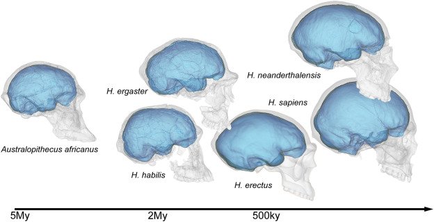 1-s2.0-S0047248422001415-gr1.jpg