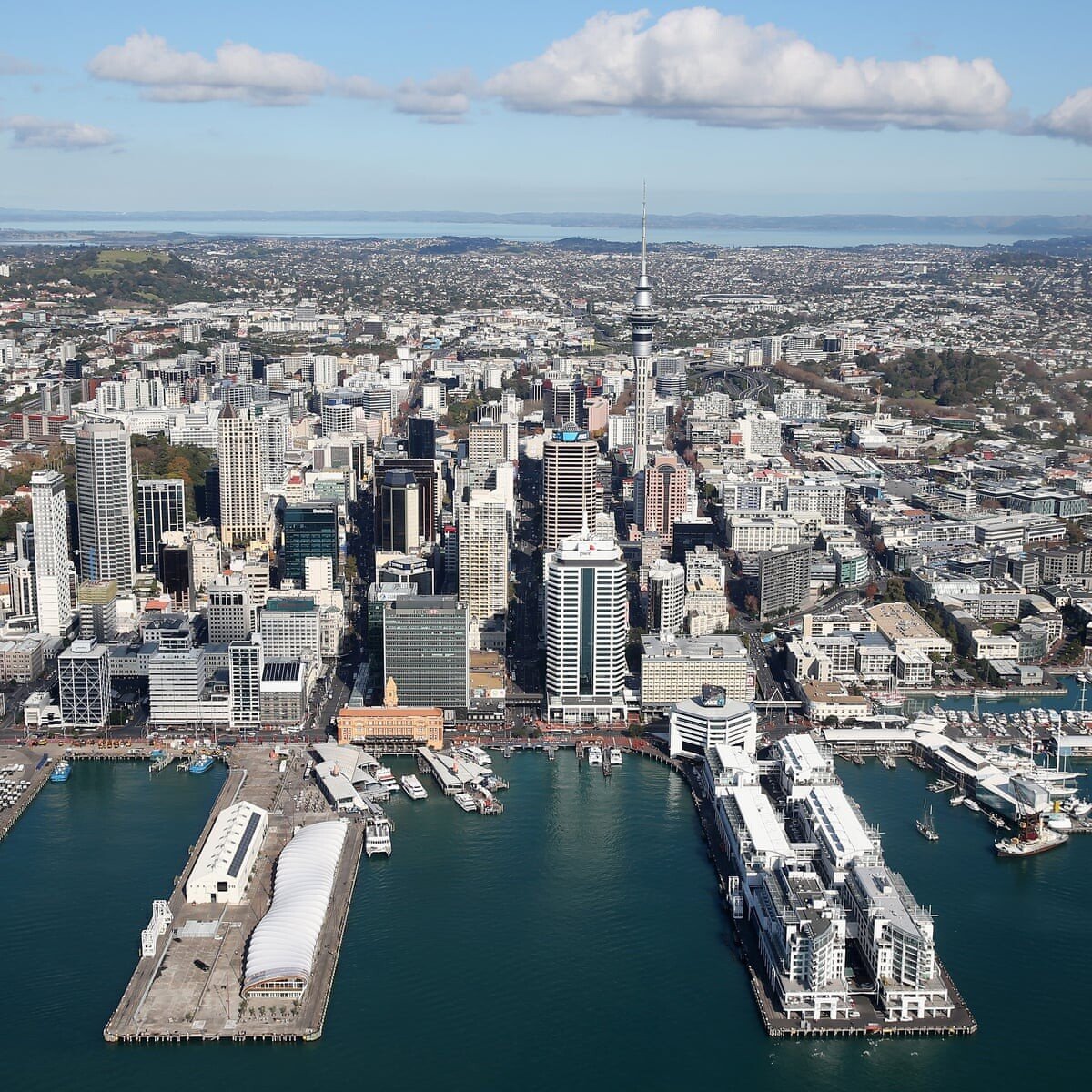 Auckland 8.jpg 호주-뉴질랜드 도시들