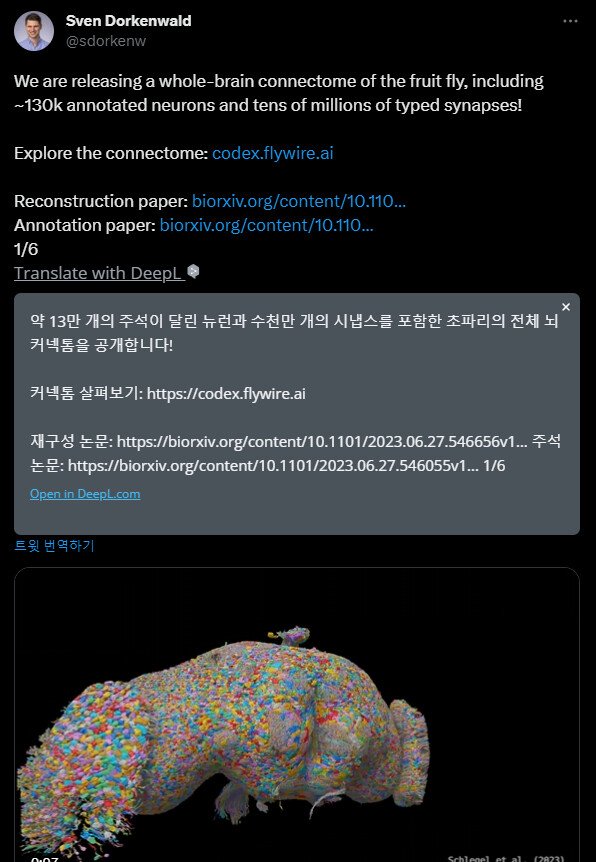 523AC001-B173-4E1D-AF6C-8F3D28961190.jpeg