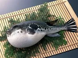 image.png 오싹오싹 60년대 연쇄사망사건
