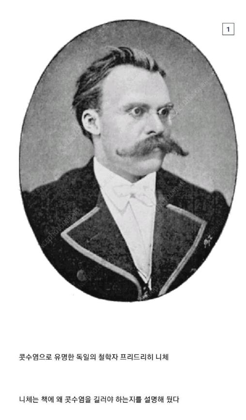 image (5).png.jpg