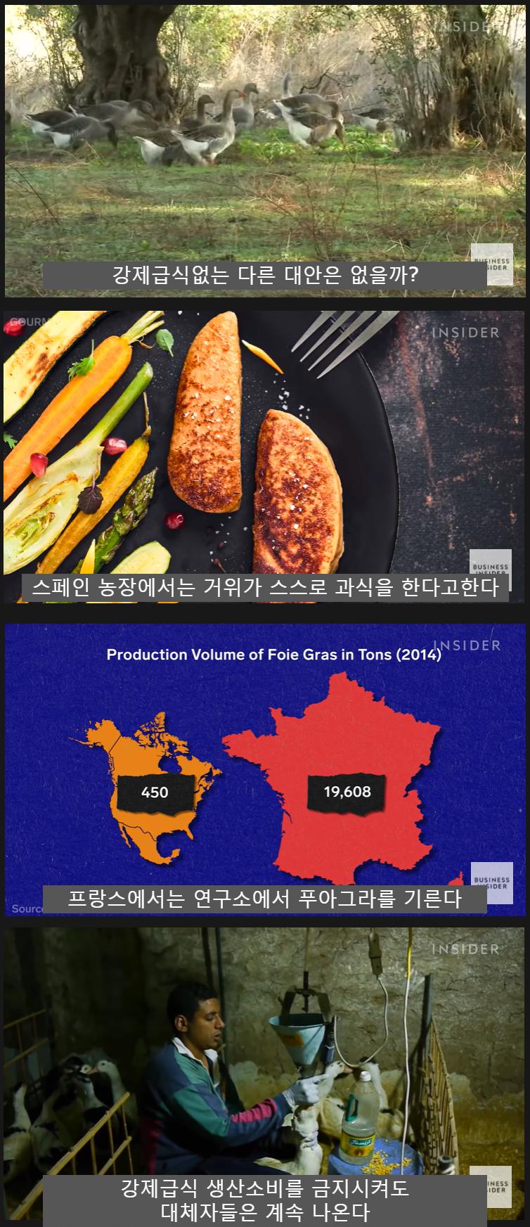 12.png.jpg