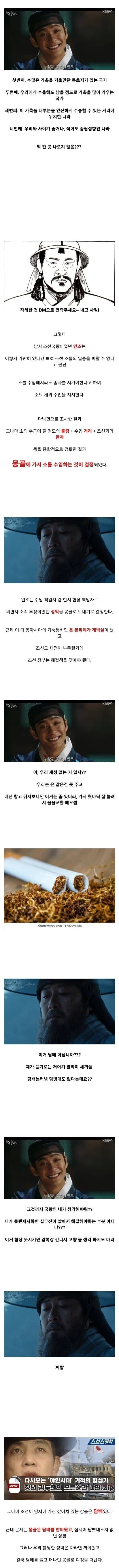 김짤닷컴_003.jpg