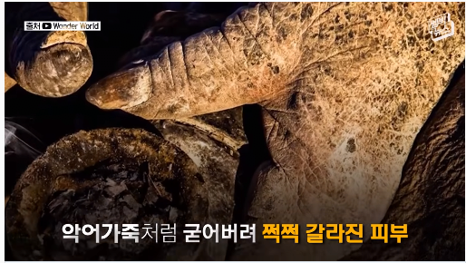 24post.co.kr_002.png
