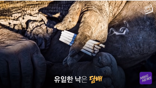 24post.co.kr_019.png