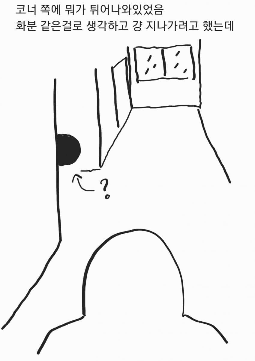 5..jpg