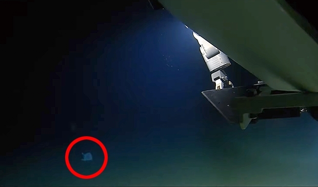 image.png 해저 10927m 밑에서 발견된 물체
