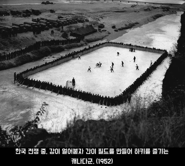하키.png.jpg