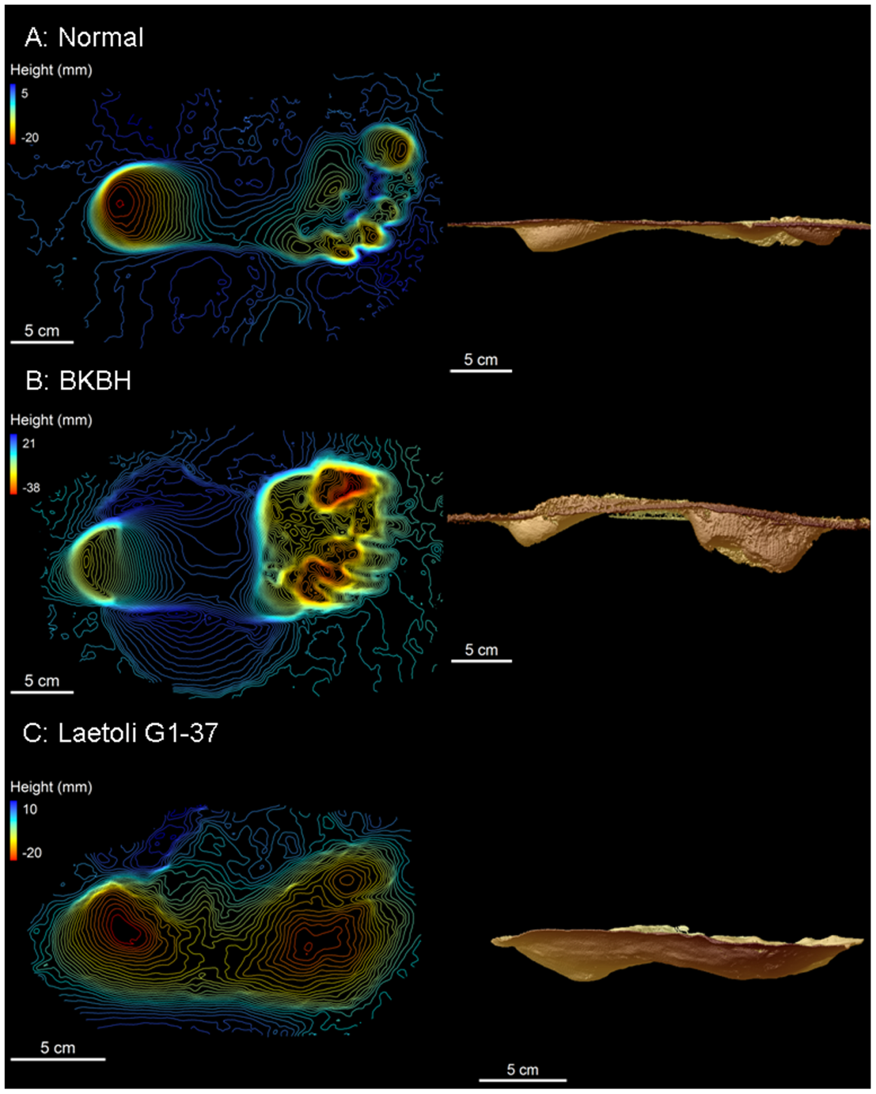 Laetoli_footprints.png 370만년 전 시멘트에 발자국 남기기(Laetoli Footprints)