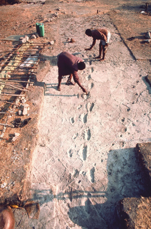 image.png 370만년 전 시멘트에 발자국 남기기(Laetoli Footprints)