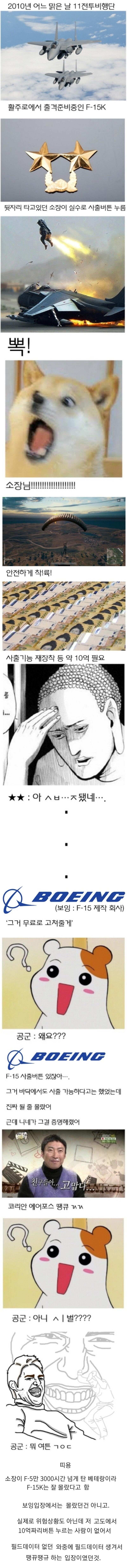공군 역사상 가장 어이없는 사고.png.jpg