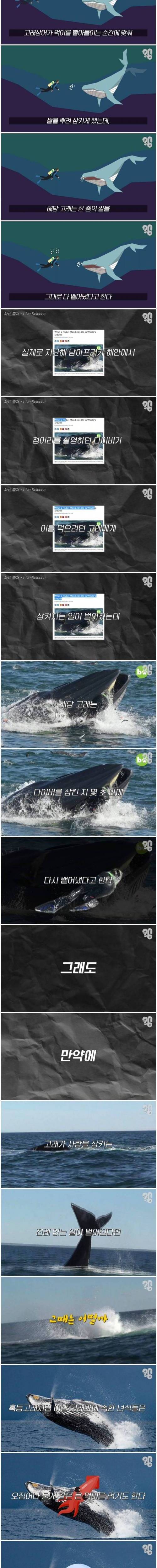 CE6646F7-E484-4EF1-A04D-F42E95FB20BA.jpeg