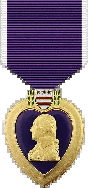 6431a6e6de0a61e135c9b051aa730de3.jpg