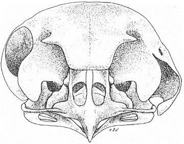 E2EA2136-0F18-4394-B410-C50874586768.png.jpg