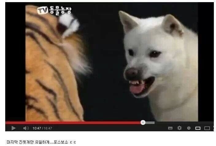 591a4c254a8833f3a431d81b8d77db68.jpg