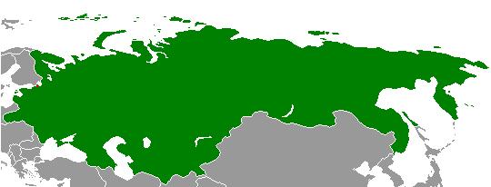 Russia_in_1918.png.jpg