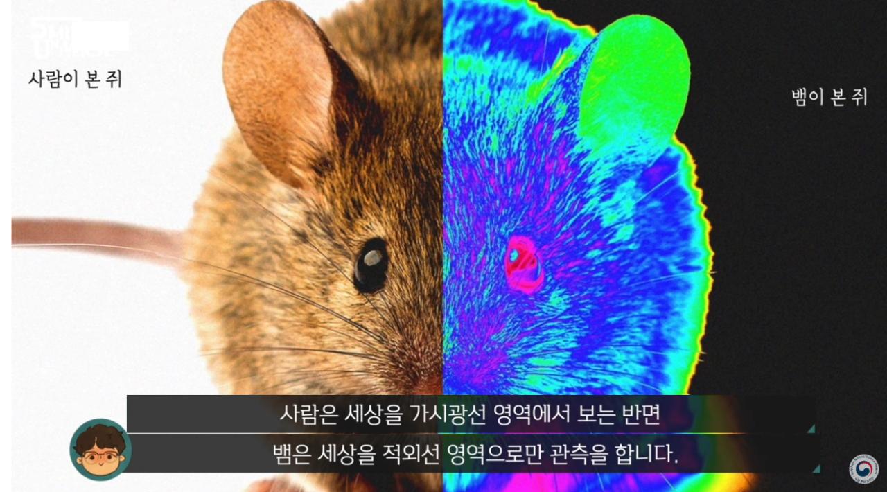사람뱀.png.jpg