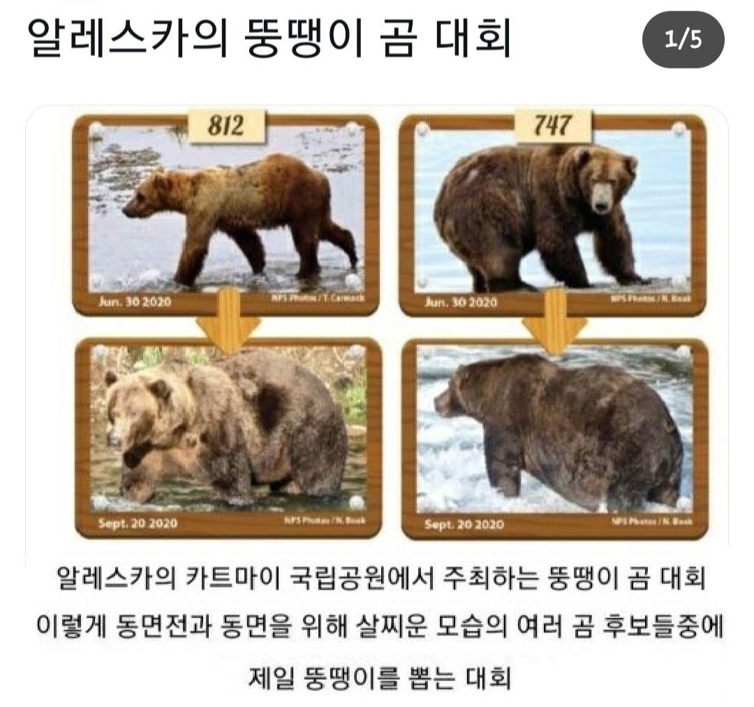 Screenshot_20221225_191228_Instagram.jpg