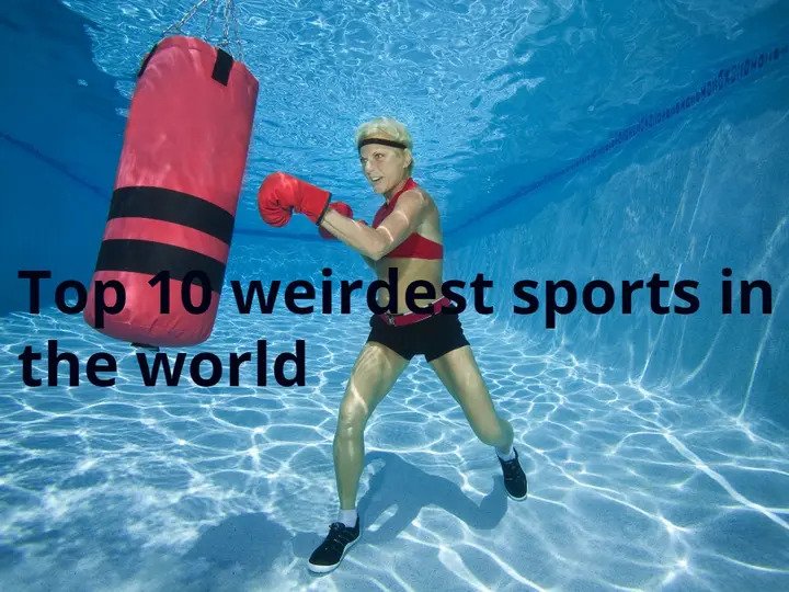 오늘날 세계에서 가장 이상한 스포츠 Top 10.webp.ren.jpg 오늘날 세계에서 가장 이상한 스포츠 Top 10