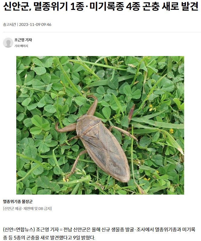 bandicam 2023-11-10 03-56-24-260.jpg 신안군에서 미기록종 곤충 4종 추가 발견
