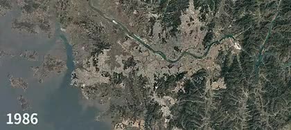 singlebungle1472-20220122-121051-005.gif