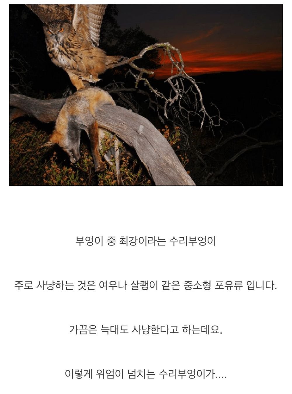 51E0A30C-A6C5-47C1-B17A-F2A58F205B33.jpeg