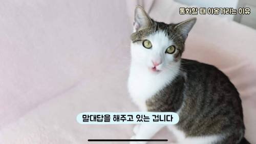 BA63A3F8-F6CF-40F8-B533-17836AE06D58 (1).jpeg