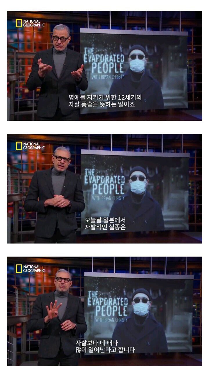 1_04.jpg